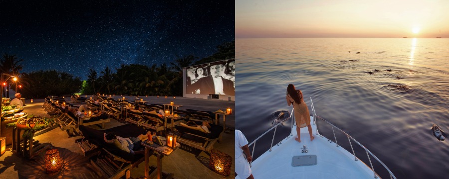 cinema-paradiso-and-dolphin-sunset-cruise
